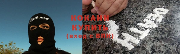 гидра Алексин