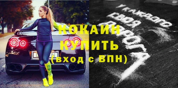 сатива Надым