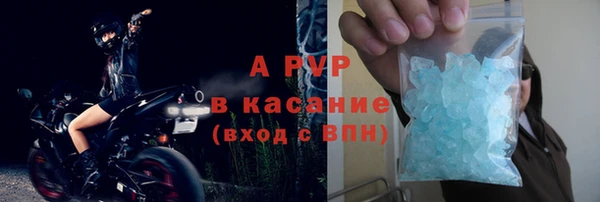гидра Алексин
