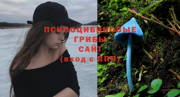 прущие крисы Алзамай