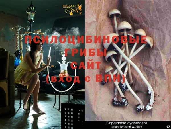 соль ск Навашино